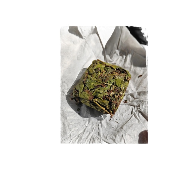 Oolong
